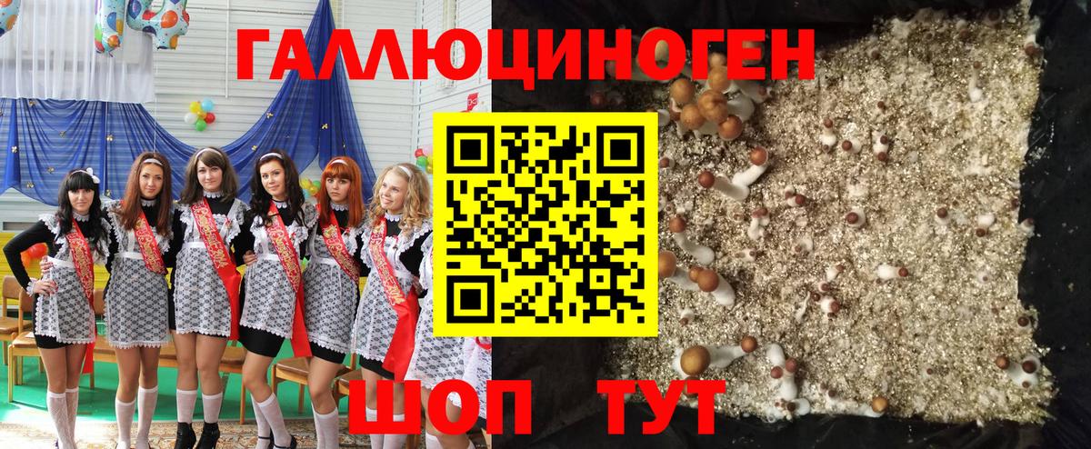 Наро-Фоминск  Галлюциногенные грибы прущие грибы  купить закладку  Вход с VPN 