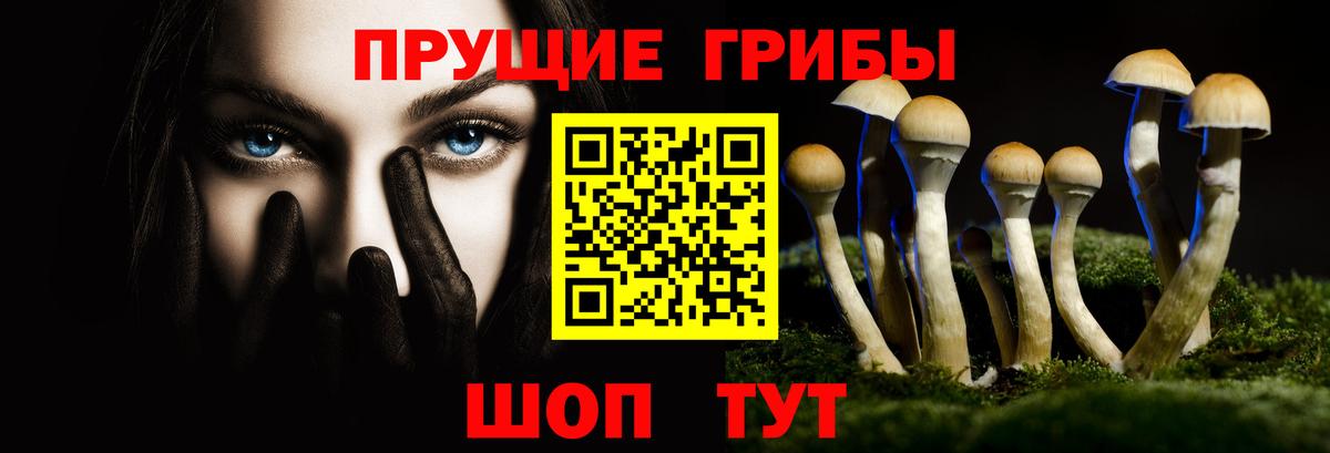 Псилоцибиновые грибы Cubensis Наро-Фоминск